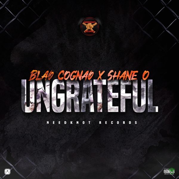 Shane O - Ungrateful ft. blaq Cognaq