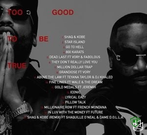 Too Good To Be True Album