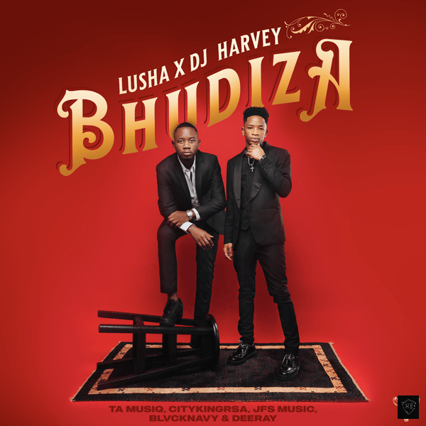 DJHarvey – Bhudiza ft. Lusha, TA MusiQ, Citykingrsa, JFS Music, Blvcknavy & Deeray