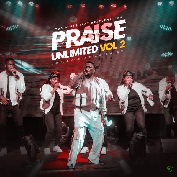 Tosin Bee - Naija Praise ft. BeezleNation