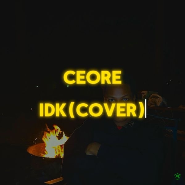 Wizkid - IDK (Cover) ft. Zlatan &  Ceore