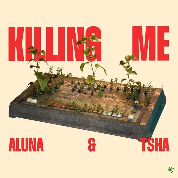 Aluna – Killing Me ft. TSHA